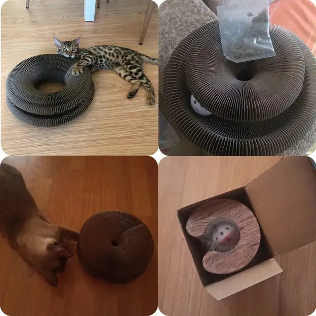Pawivo™ Interactive Cat Scratcher Bed