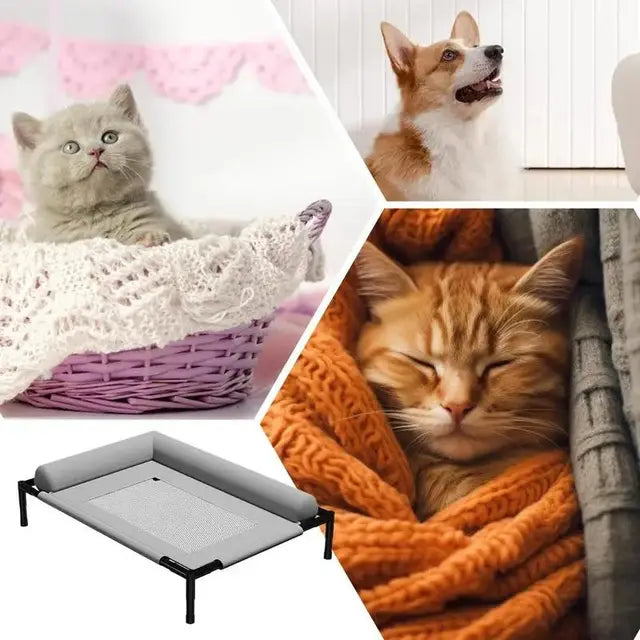 Pawivo™ Elevated Cooling Dog Bed