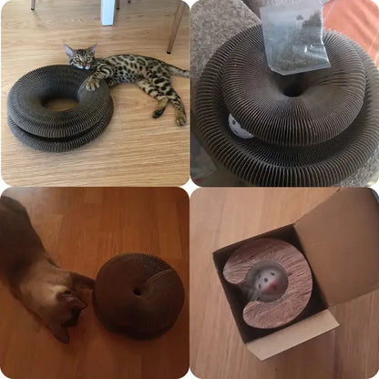 Pawivo™ Interactive Cat Scratcher Bed
