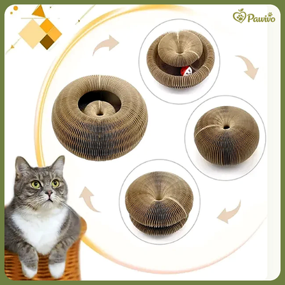 Pawivo™ Interactive Cat Scratcher Bed